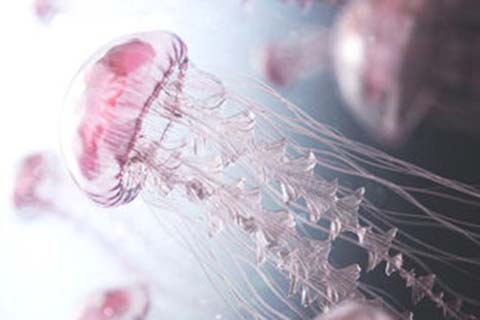 http://huizhou.vdtfzz.com/post/208.html|惠州人工试管