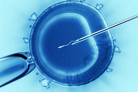 http://huizhou.vdtfzz.com/post/198.html|惠州代生助孕