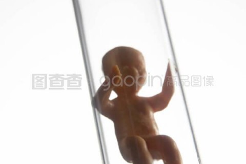 http://huizhou.vdtfzz.com/post/197.html|惠州试管助孕