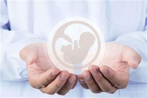 http://huizhou.vdtfzz.com/post/214.html|惠州人工试管