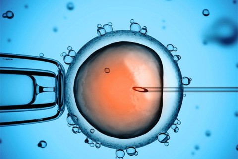 http://huizhou.vdtfzz.com/post/206.html|惠州新闻中心